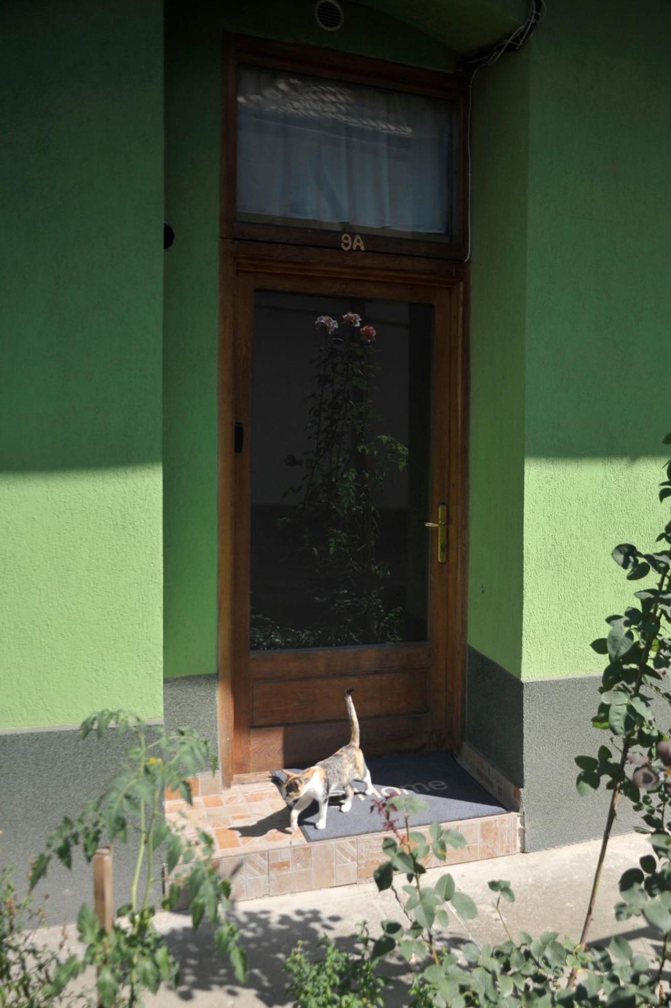 Atu Central Apartment Cluj-Napoca Exteriör bild